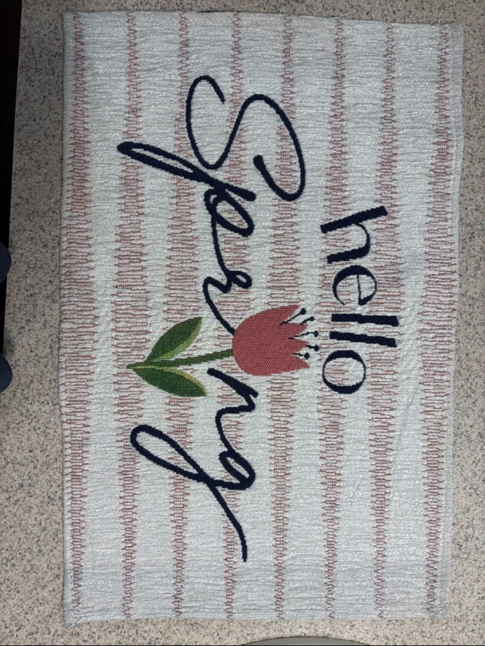 Set of 6 Hello Spring Embroidered Accent placemats
